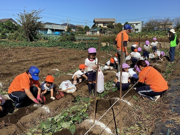 ＠2023.10.17～18　お芋ほり