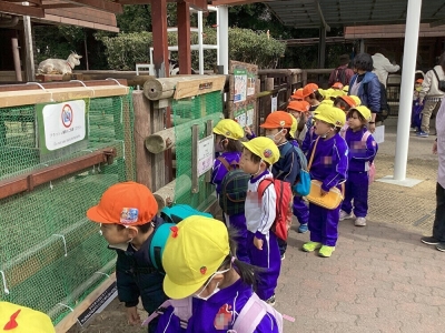 ＠2026.2.27　全園児遠足(市川動植物園)