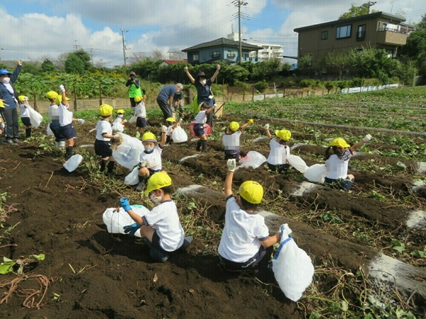 お芋ほりに行きました☆